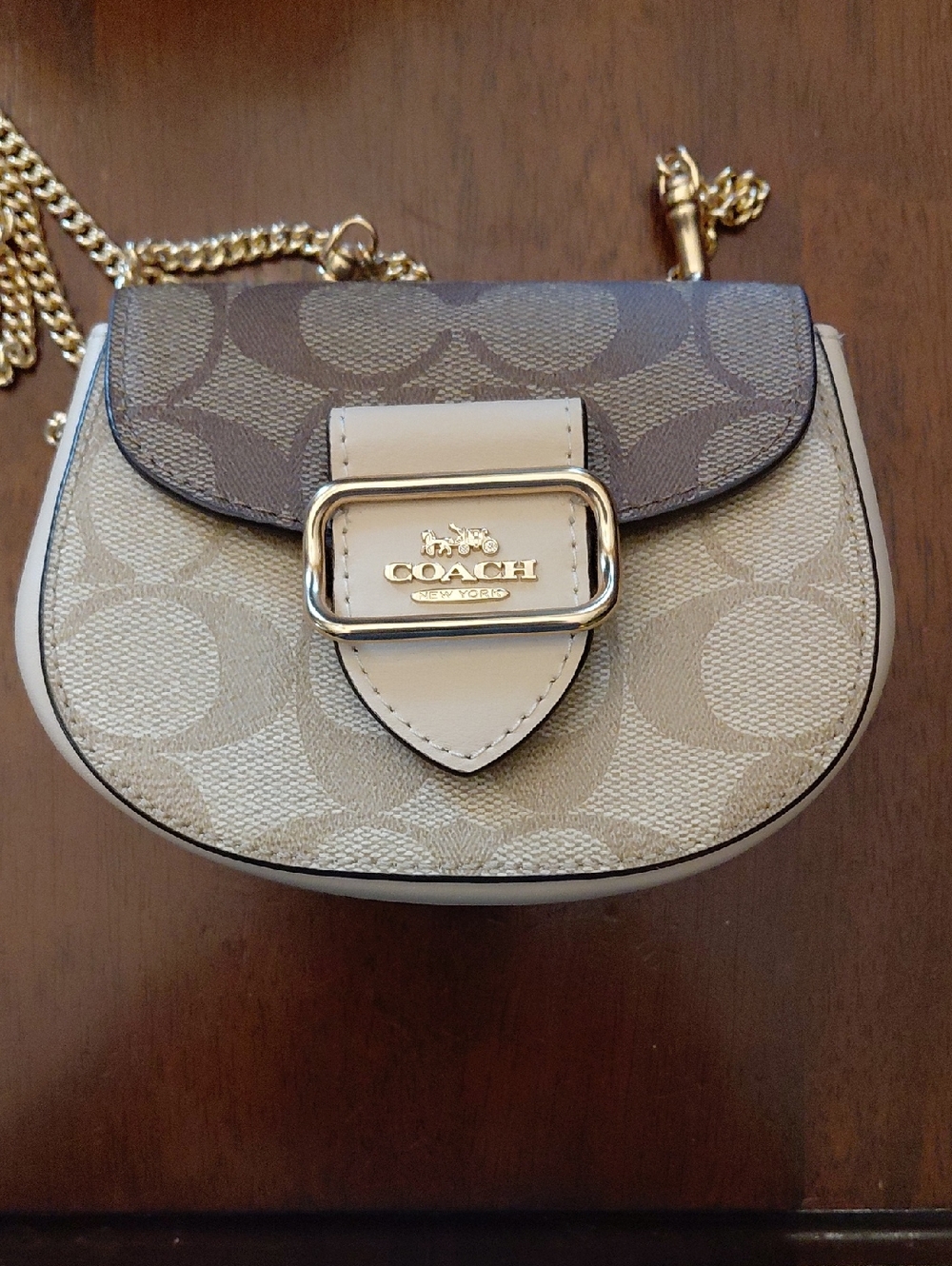 Coach Morgan Card Case On A Chain In Signature Canvas Style No. CJ689.
